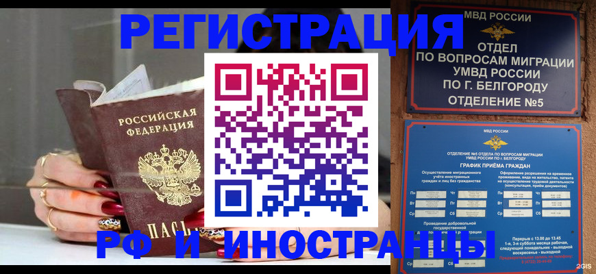 прописка в Одинцово